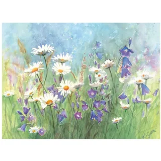 AVA Platzset, Tischsets aus Papier 43x30cm mit Gänseblümchen Motiv 50 Stück Bunt blau|bunt|grün