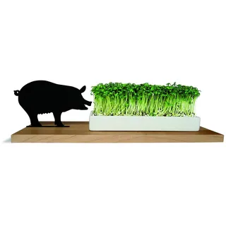 Side by Side Kresseschale smart n Green Schwein 40053S