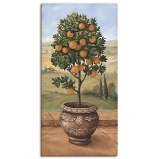 Artland Leinwandbild Wandbild Bild auf Leinwand 30x60 cm Wanddeko Toskana Orange Baum Italien Landschaft Mediterran Botanik Terracotta T4NI