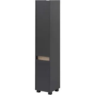 Schildmeyer Cosmo Hochschrank 30,2 x 33,0 x 164,5 cm Anthrazit Holz