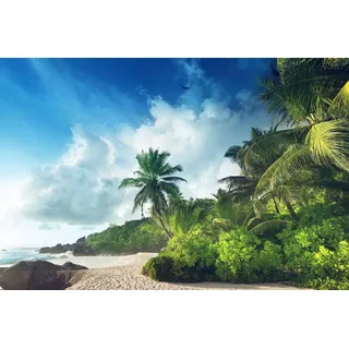 Papermoon Fototapete PALMEN-STRAND-SEYCHELLEN TROPISCH INSEL AFRIKA KÜSTE bunt 2 m x 1,49 m