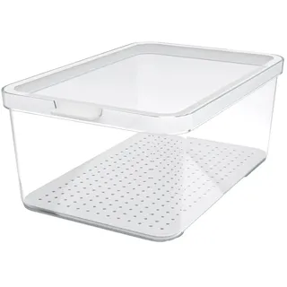 Rotho Frischhaltedose Cauma transparent 28,2 x 18,4 x 11,3 cm 4,65 l