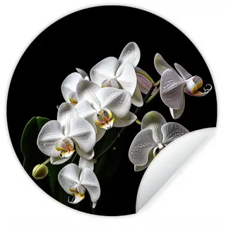 MuchoWow Wandsticker Orchidee - Blumen - Weiß - Natur - Schwarz (1 St), Wanddeko Wohnzimmer Schlafzimmer Wandverkleidung, 50x50 cm bunt 50 cm x 50 cm x 0.1 cm