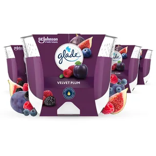 Glade Duft-Kerze im Glas, Velvet Plum, bis zu 30 Stunden Brenndauer pro Kerze, (4 x 204 g)