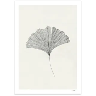 The Poster Club - Ginkgo Leaf von Ana Frois, 50 x 70 cm