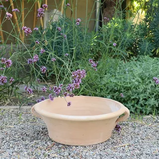 Palatina Werkstatt Terracotta Pflanzschale Crocus 35cm - In 100% Handarbeit gefertigtes Unikat - Der ideale winterfeste Pflanzbehälter für den Garten & Außenbereich