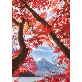 Displate - Poster aus Metall - Magnet-Montage - World Class Photos - Japan - Fuji in the autumn leaves 67.5 cm x 48 cm