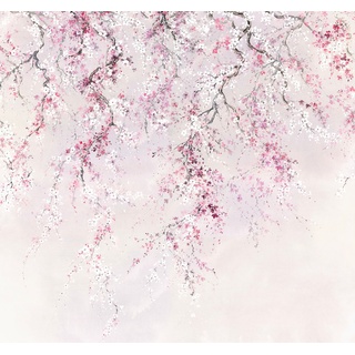 KOMAR Vliestapete "Kirschblüten" Tapeten Gr. B/L: 300 m x 280 m, Rollen: 1 St., rosa (rosa, weiß) Blumentapeten