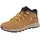 Wheat 41