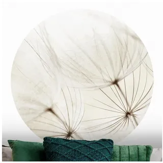 Bilderdepot24 Fototapete rund Blumen Sanfte Gräser Floral Natur Kunst Pusteblume, Glatt, Matt, (Vliestapete selbstklebend), Wohnzimmer Schlafzimmer Küche Wandtattoo Motivtapete Klebe Wandtapete weiß 175 m x 175 m