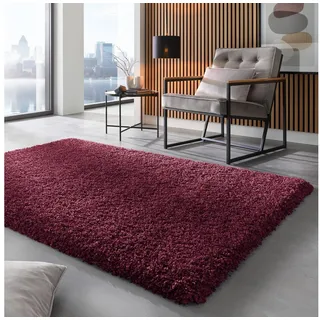 TaraCarpet Langflor-Teppich Ragolle Twilight, rechteckig, Höhe: 60 mm, Shaggy Hochflorteppich bordeaux rot Wohnzimmer Schlafzimmer 240x300 rot rechteckig | 240 cm x 300 cm x 60 mm