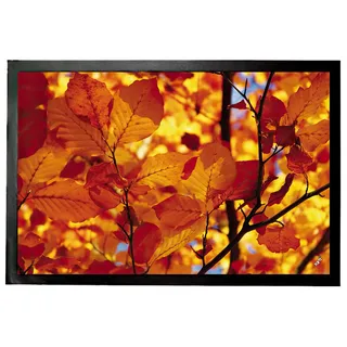 1art1 Bäume Goldenes Herbstlaub Fußmatte Dekomatte Innenbereich | Design Türmatte 60x40 cm