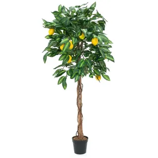 Europalms Zitronenbaum, 180cm