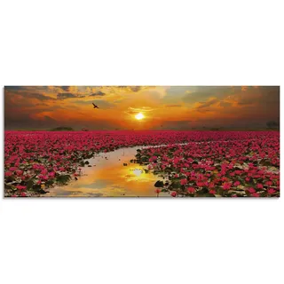 ARTland Wanddeko Glasbilder Wandbild Glas Bild einteilig 125x50 cm Querformat Natur Landschaft See Blumen Blüten Seerose Sonne Sonnenuntergang T9IA