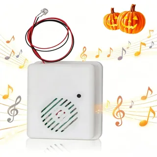 Tomedny Halloween Motion Sensor, Sound Player Horror Horror kniffliger Scary Sound Lautsprecher schreien Lautsprecher für Innenpartydekoration in der Innenräume im Freien