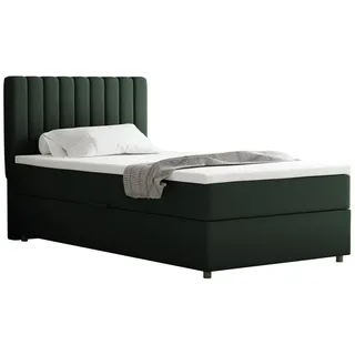 panda möbel Boxspringbett 100x200 EVEREST, mit Topper, mit Bettkästen, Einzelbett, Dunkelgrün, Panda Möbel - dunkelgrün