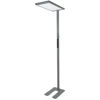 LUXULA 700196 grau