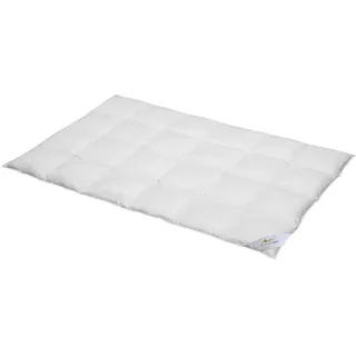 BettwarenShop Comfort warm, Füllung: 60% Daunen, 40% Federn 155x220 cm