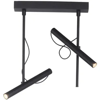 Neuhaus PURE® LED Deckenleuchte PURE Tutua, 2-flammig, schwarz, drehbar
