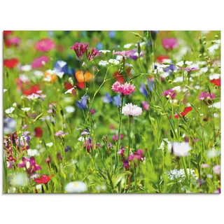 Glasbild ARTLAND "Blumenwiese I", grün (farbe bild(er): grün), B:80cm H:60cm, Bilder, in verschiedenen Größen