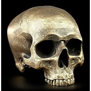 Figuren Shop GmbH Totenkopf ohne Unterkiefer - Antik-goldfarben - Figur Schädel Gothic Totenschädel Deko Skull