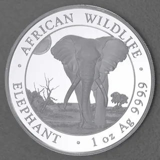 Silbermünze 1oz Elefant 2025 African Wildlife (Somalia)