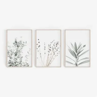 ZOYIEP 3er Poster Set Wohnzimmer - Bilder Deko Schlafzimmer - Lavendel Eukalyptus Pflanze Stilvolle Wandbilder - ohne Bilderrahmen (50 x 70 cm)