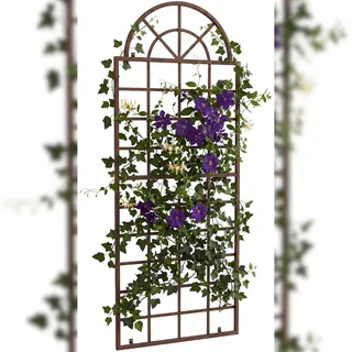 CLP Rankgitter Viva 70 x 180 cm Antik Braun