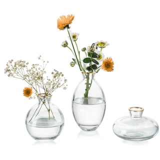 Kleine Vasen füR Tischdeko Glas - EylKoi 3 Stück/Satz Transparent mit Goldrand Mini Vase Vintage Handmade Hydroponic Glasvase Blumenvase Modern Set Hochzeit Tischdeko, Zuhause Wohnzimmer Blumen Rose