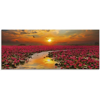 Glasbild ARTLAND "Sonnenschein blühende Lotusblume" Bilder Gr. B/H: 125 cm x 50 cm, Blumen, 1 St., orange Glasbilder