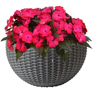 Wand-Blumentopf – Innenwand-Blumentopf aus Rattan-Imitat, moderner Halbrunder Zimmerpflanzenbehälter für Zaun, Wohnung, Balkon, Garten, Terrasse,