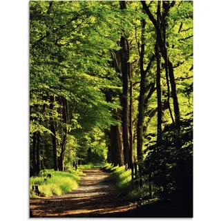 Glasbild ARTLAND "Weg im Wald" Bilder Gr. B/H: 60 cm x 80 cm, Wald, 1 St., grün Glasbilder in verschiedenen Größen