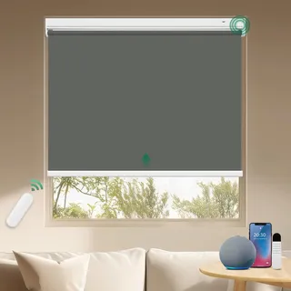 Allesin Wiederaufladbare Verdunklungsrollo ohne Bohren, B100 x H110 cm Anthrazit, Elektrische Rollo Innen, 100% Verdunkelung Sonnenschutz Smart Rollo mit Fernbedienung Kompatibel Alexa