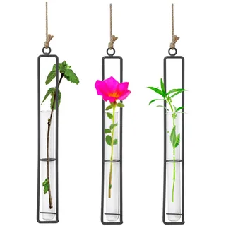 Vastsea 3 Stück Glasvase Aus Schmiedeeisen, Flasche Reagenzglas für Blumen, Hängende Metall Luftpflanzen Halter, Metalleisen Kreativ Wandbehang Pflanzen Glasvasen für Heimtextilien(27,2 x 4cm)