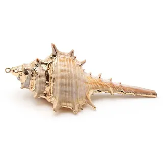 Vintageparts Anhänger Spiralschnecke Naturmaterial mit Aufhängung goldfarben 6 bis 9 cm, 1 Stück