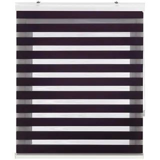 Zebra Textil SANSA Doppelrollo mit dekorativer Kassette, Polyester, Violett, 145 x 250 cm