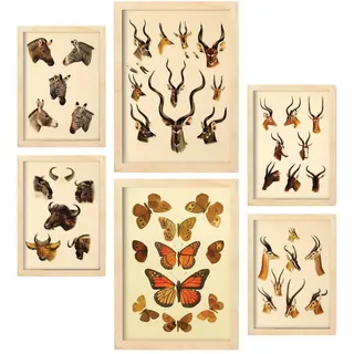 POSTER Set Mit 6 Tiere In Vintage A3 & A4 Rahmen Aus Hellem Holz