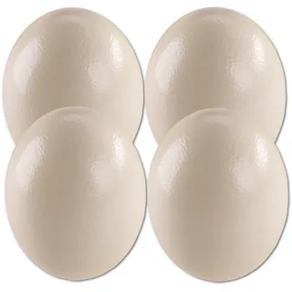 4er Set Straussenei XXL ausgeblasen natur 13-15 cm Afrika Riesenei Vogel Strauß