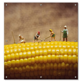 Sonnenschutz Lustige Bauernfiguren auf einem Maiskolben beim Arbeiten, Wallario, blickdicht, mit Saugnäpfen, wiederablösbar und wiederverwendbar gelb 96 cm x 100 cm