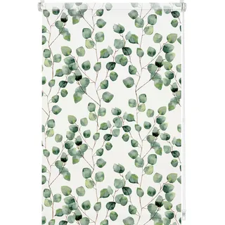 GARDINIA Rollo Isabella 80 x 150 cm lichtdurchlässig