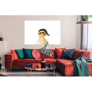 MuchoWow Poster Ente - Gelb - Tiere - Natur, (1 St), Bild für Wohnzimmer, Schlafzimmer, Wandposter, Ohne Rahmen, Wanddeko bunt 120 cm x 90 cm