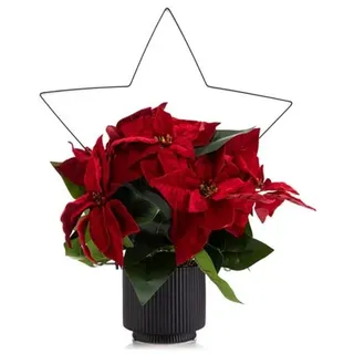 LUMIDA Flora künstl. Poinsettia Weihnachtsstern inkl. Metall-Deko 5h-Timerfunktion
