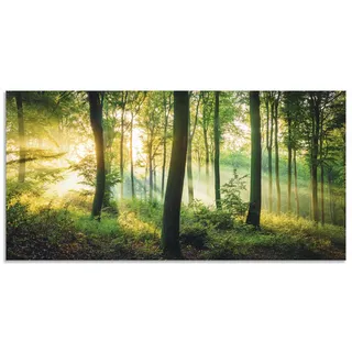 Wandbild ARTLAND "Herbst im Wald II", grün (farbe bild(er): grün), B:150cm H:75cm, Bilder, als Alubild, Leinwandbild, Poster in verschied. Größen