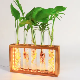 Blumenvasen Wand hängende Pflanze Vase mit hölzernen Stand Wandbehang Glas Pflanzgefäße Glas Pflanzer Reagenzgläser Vase für Stecklinge Knospen hydroponische Pflanzen Home Office Decor (Kohlschwarz)