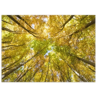Teppich Goldener Herbst - Bunte Blätter von unten betrachtet, Wallario, rechteckig, rutschfest