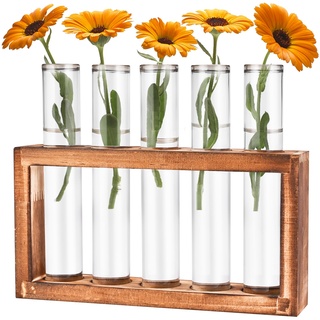 Cieex Reagenzgläser Blumenvase - Kleine Reagenzglas Vasen mit Ständer Holz - Glasrohre mit Flachboden - Modern Vasen Deko Set für Hydrokultur Pflanzen, Tisch Hause Büro Wohnzimmer Küche Deko
