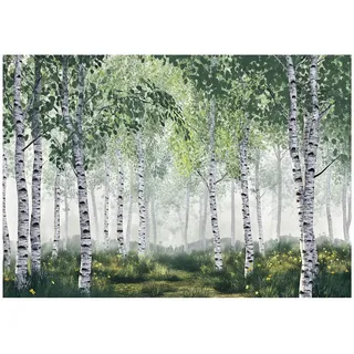 WallArena Fototapete 3D Effekt Birken Wald Bäume Tapete Wohnzimmer 350x250