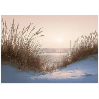 WallArena Fototapete Strand in Beige | Gr.: 150 x 105 cm