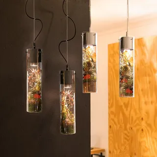 s luce MyLight (1P110TR)