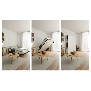 WallBedKing Schrankbett Schrankbett Morphy Horizontal Studio Klappbett - Multifunktion